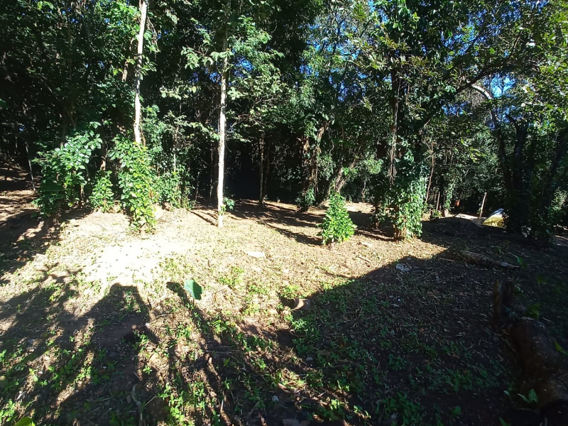 imóvel com 1000m² - Centro - Brumadinho