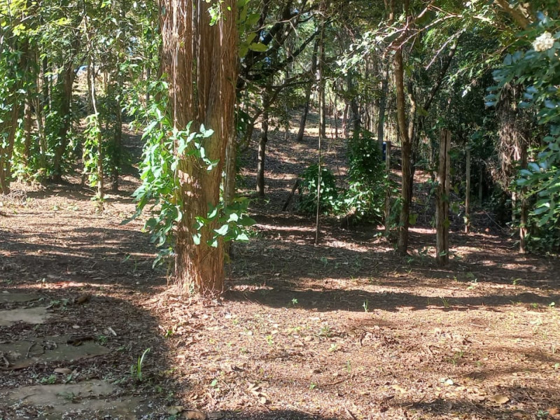 imóvel com 1000m² - Centro - Brumadinho