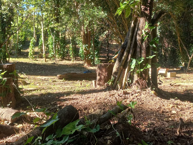 imóvel com 1000m² - Centro - Brumadinho