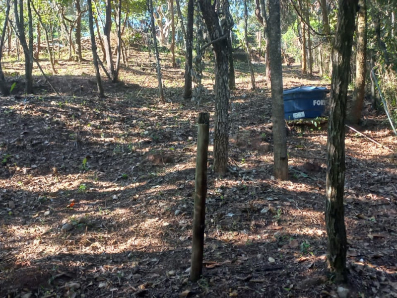 imóvel com 1000m² - Centro - Brumadinho