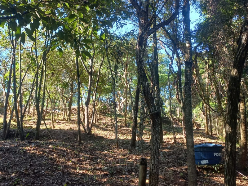 imóvel com 1000m² - Centro - Brumadinho
