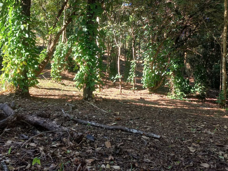 imóvel com 1000m² - Centro - Brumadinho