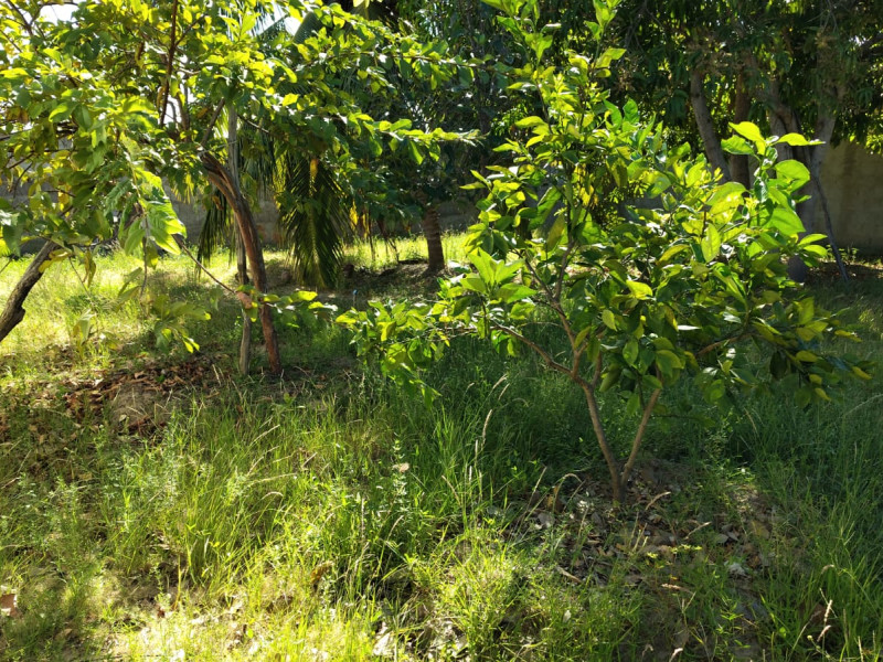 imóvel com 700m² - Farolândia - Aracaju