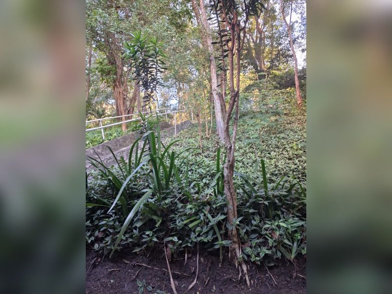 imóvel com 100m² - Icaraí - Niterói