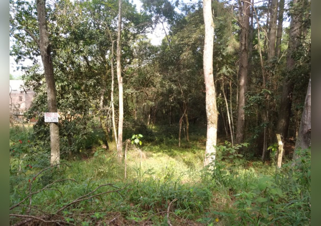 imóvel com 3800m²