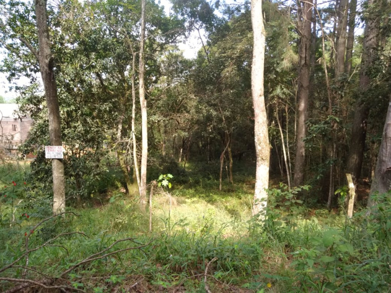 imóvel com 3800m² - Centro - Porto Alegre