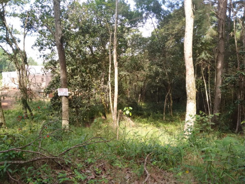 imóvel com 3800m² - Centro - Porto Alegre