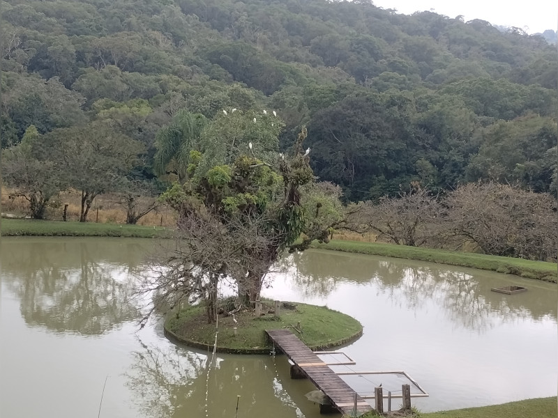 imóvel com 24000m² - Sarapuí de Cima - Piedade