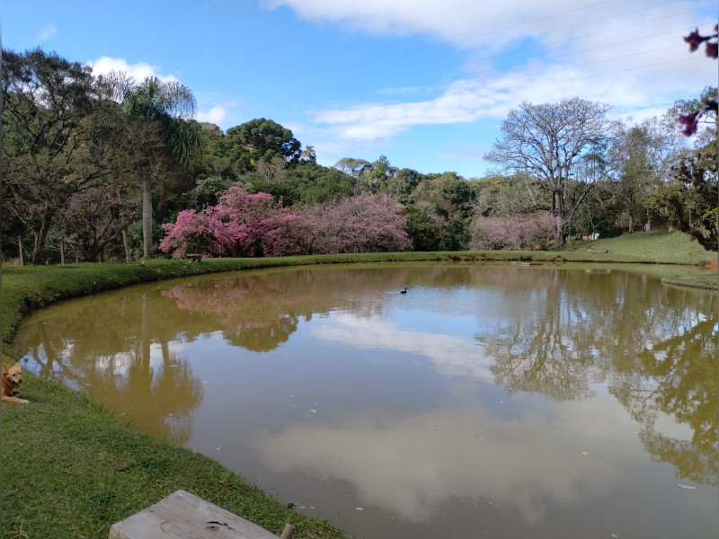 imóvel com 24000m² - Sarapuí de Cima - Piedade