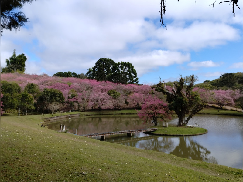 imóvel com 24000m² - Sarapuí de Cima - Piedade