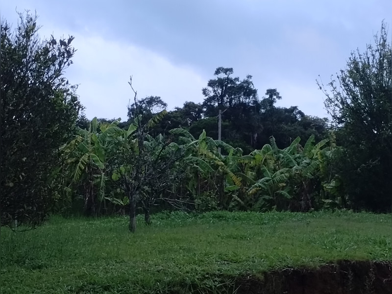 imóvel com 24000m² - Sarapuí de Cima - Piedade