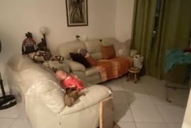 img-9595.jpeg