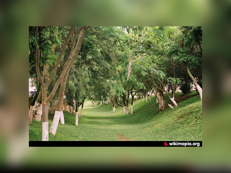 imóvel com 49m² - Jardim Regina - São Paulo