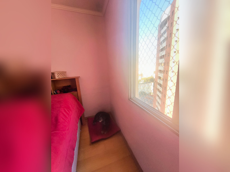 imóvel com 43m² - Cambuci - São Paulo