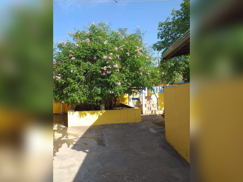 imóvel com 3000m² - Jardim Florence - Campinas