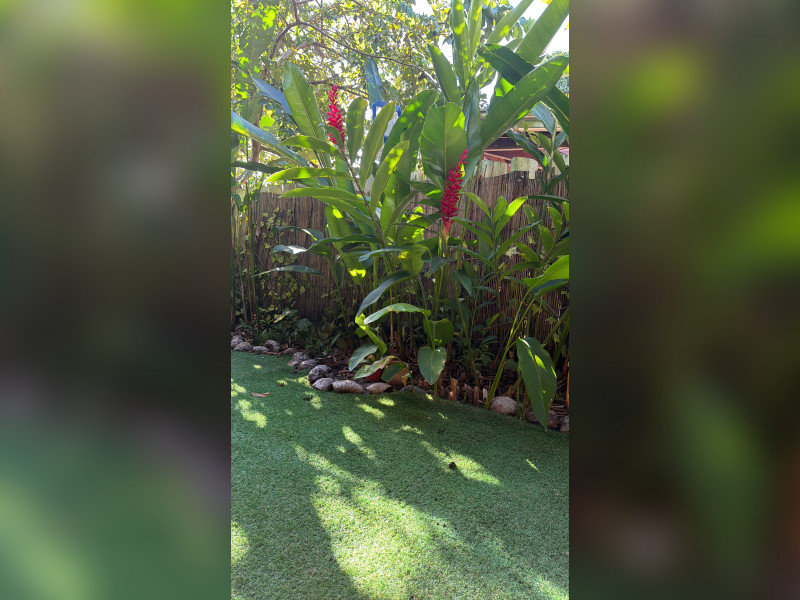 imóvel com 60m² - Centro - Itacare