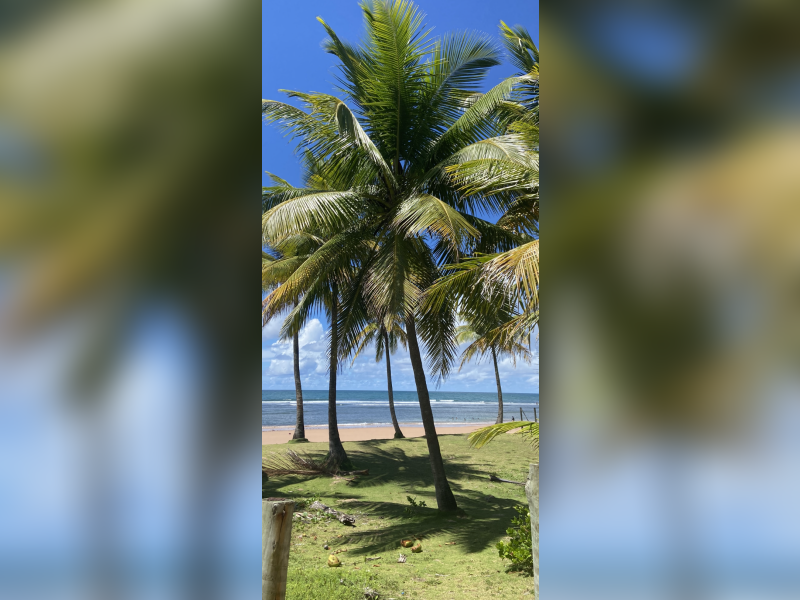imóvel com 60m² - Centro - Itacare