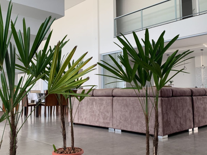 imóvel com 1000m² - Colinas de Indaiatuba II - Indaiatuba