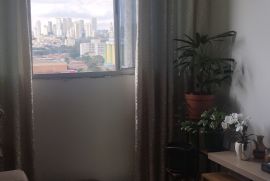1000278446.jpg