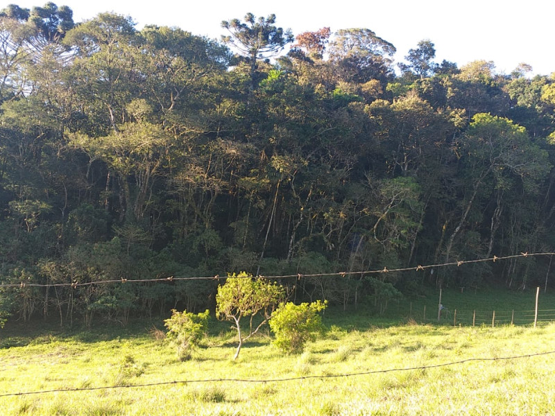 imóvel com 1850m² - Centro - Santo Antônio do Pinhal