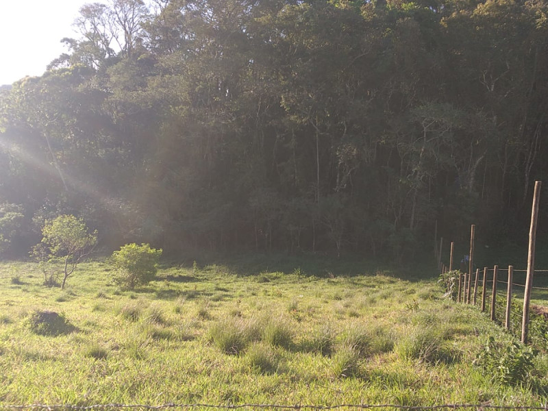 imóvel com 1850m² - Centro - Santo Antônio do Pinhal