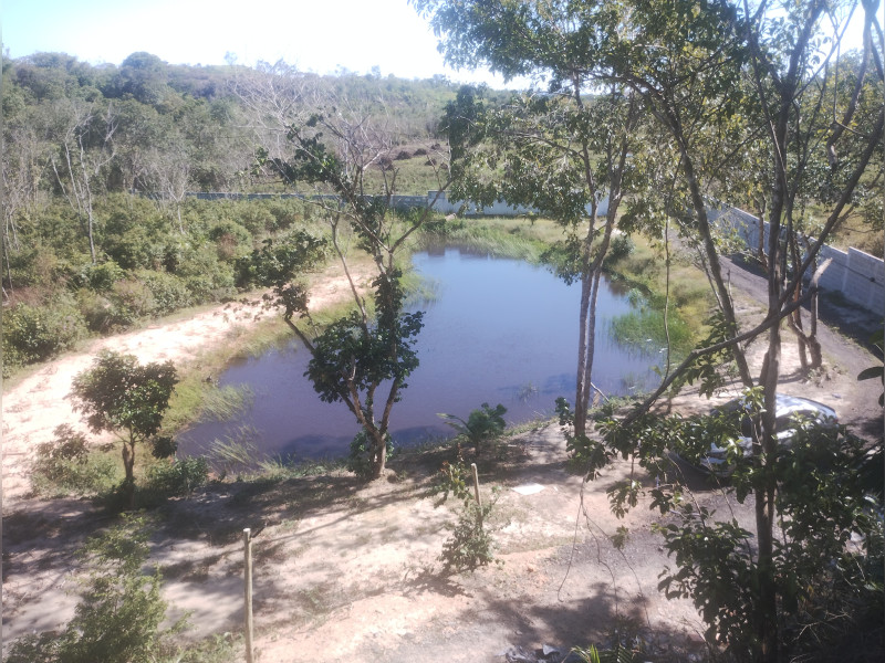 imóvel com 4000m² - Vale das Pedrinhas - Guapimirim