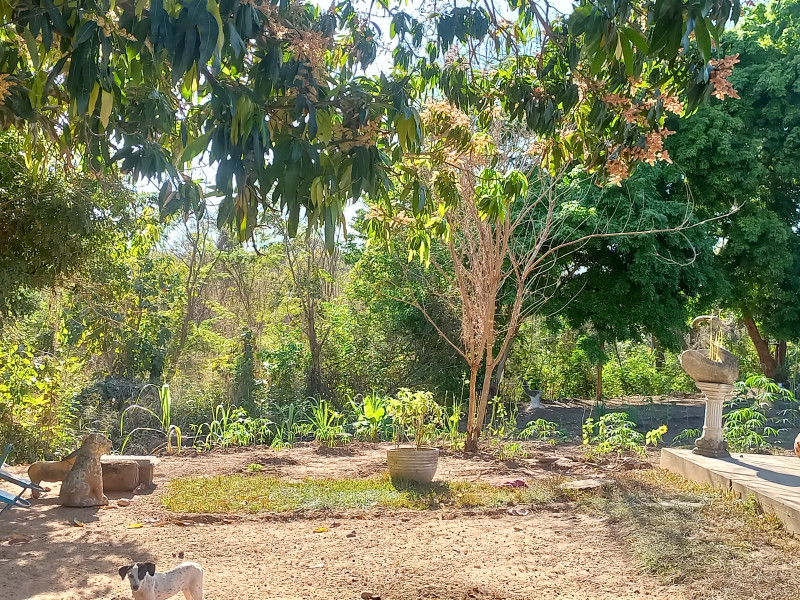 imóvel com 11000m² - Morada da Serra - Cuiabá