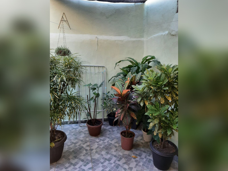 imóvel com 80m² - Engenheiro Leal - Rio de Janeiro
