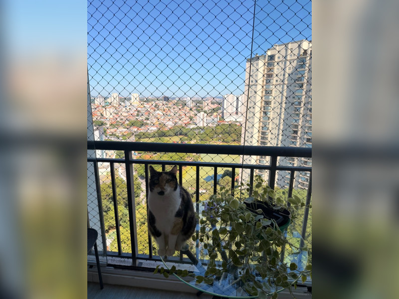 imóvel com 46m² - Jardim Tupanci - Barueri