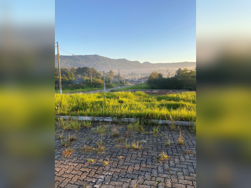 imóvel com 300m² - Campo da Brazina - Ararica