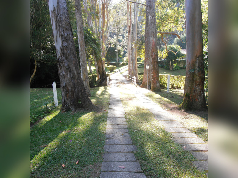 imóvel com 87600m² - Araras - Petrópolis