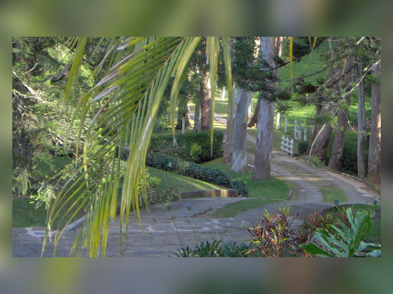 imóvel com 87600m² - Araras - Petrópolis