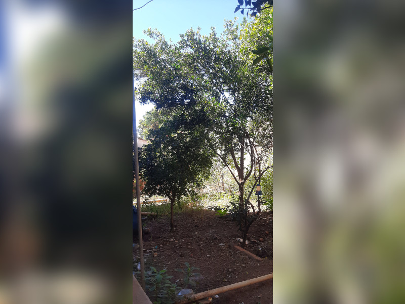 imóvel com 487m² - Loteamento Grande Retiro - Goiânia
