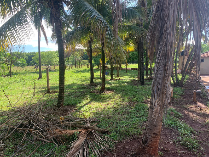 imóvel com 24200m² - Centro - Colombia