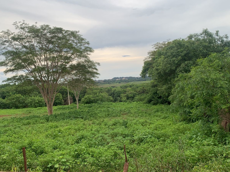 imóvel com 24200m² - Centro - Colombia