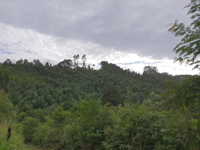 imóvel com 48400m² - Centro - Campo Magro