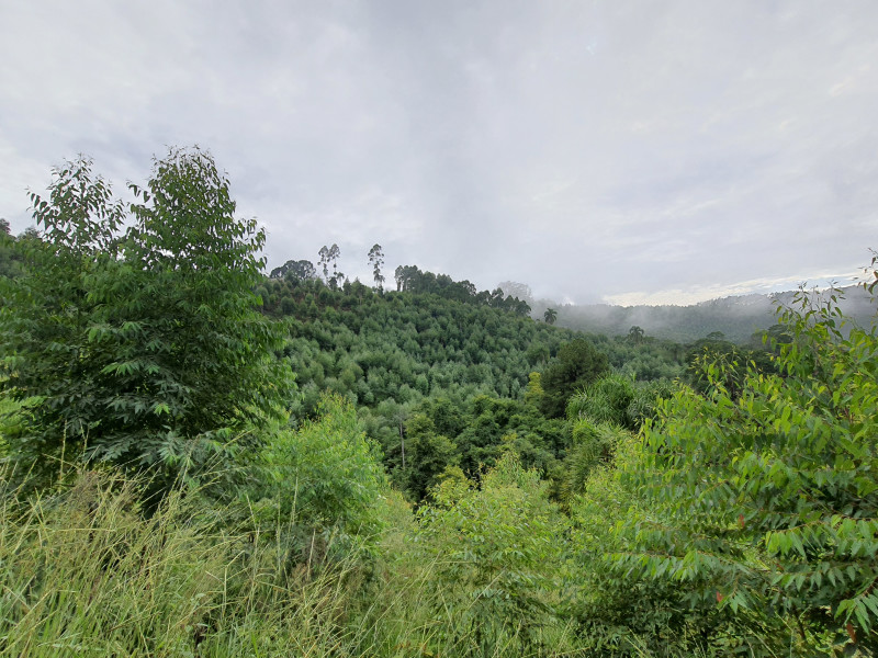 imóvel com 48400m² - Centro - Campo Magro
