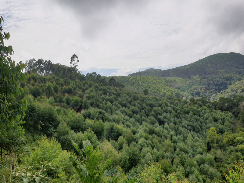 imóvel com 48400m² - Centro - Campo Magro