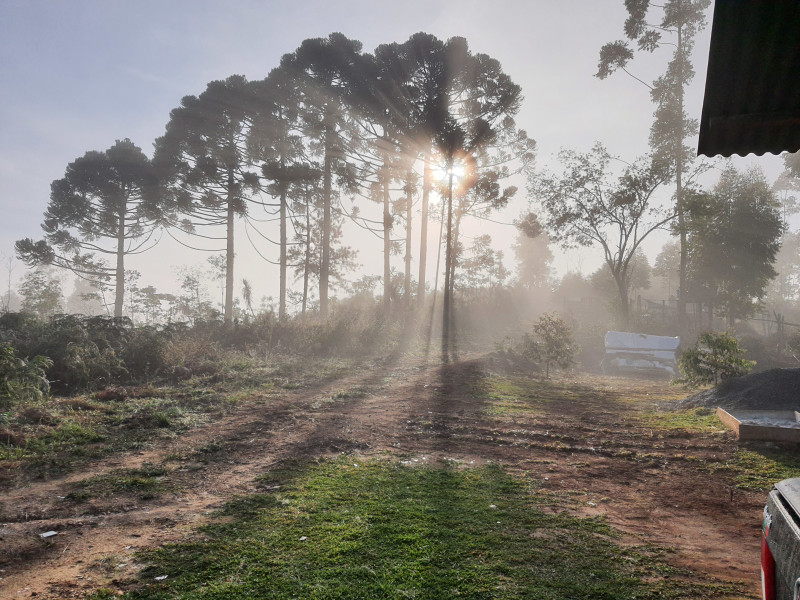 imóvel com 48400m² - Centro - Campo Magro