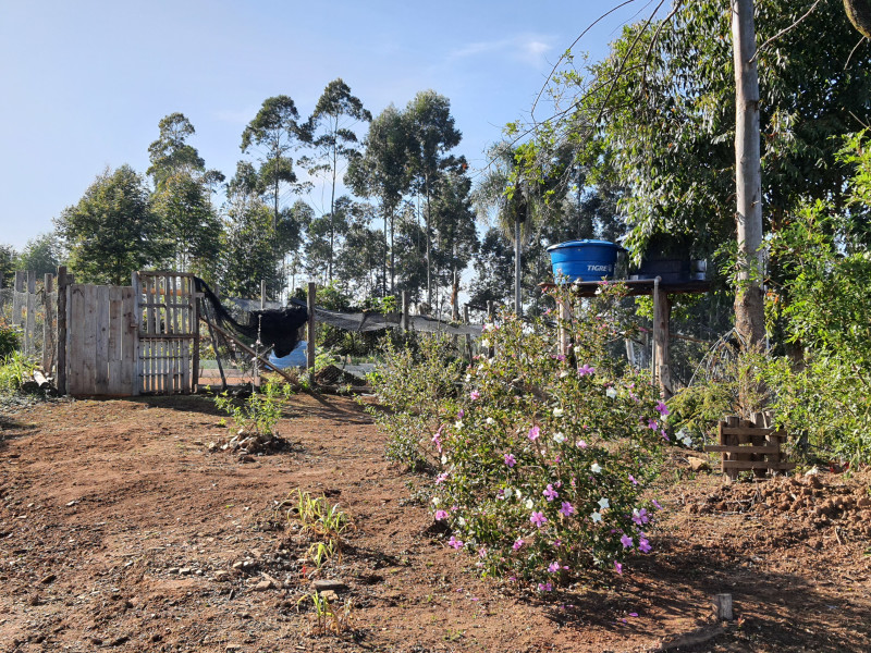 imóvel com 48400m² - Centro - Campo Magro