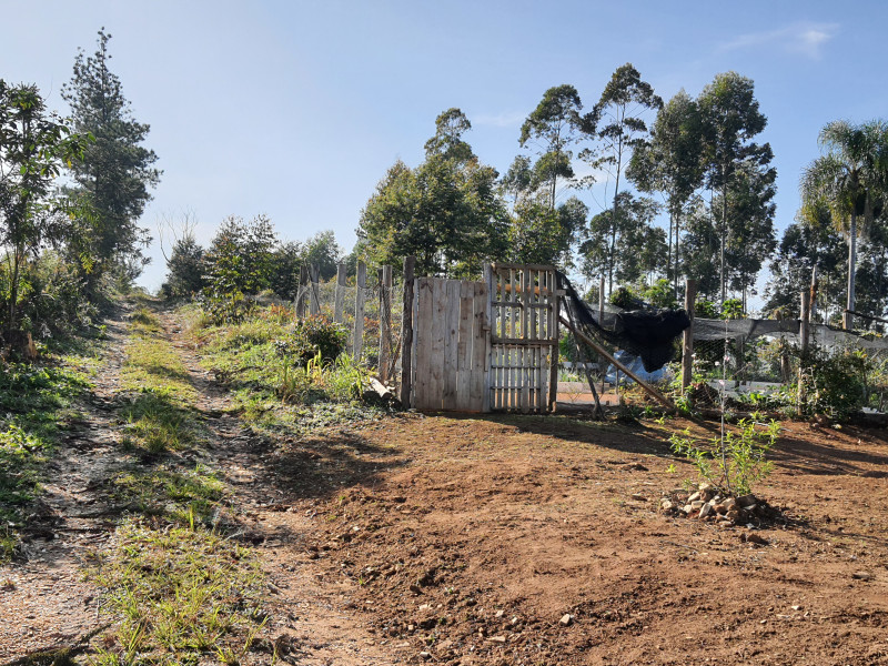 imóvel com 48400m² - Centro - Campo Magro