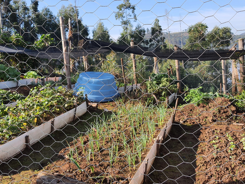 imóvel com 48400m² - Centro - Campo Magro
