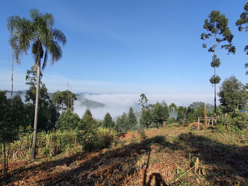 imóvel com 48400m² - Centro - Campo Magro