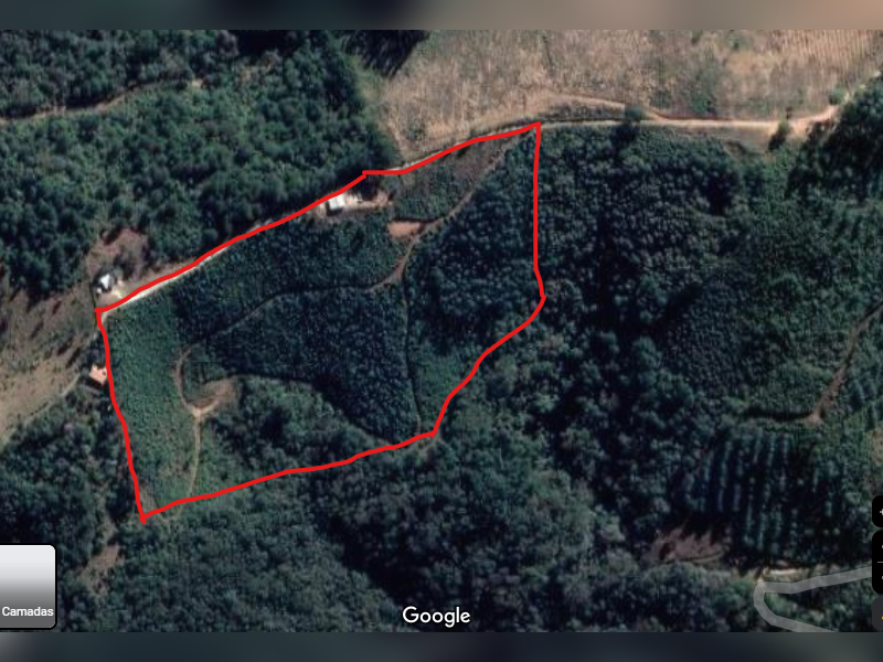 imóvel com 48400m² - Centro - Campo Magro