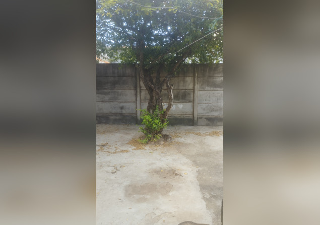 imóvel com 160m²