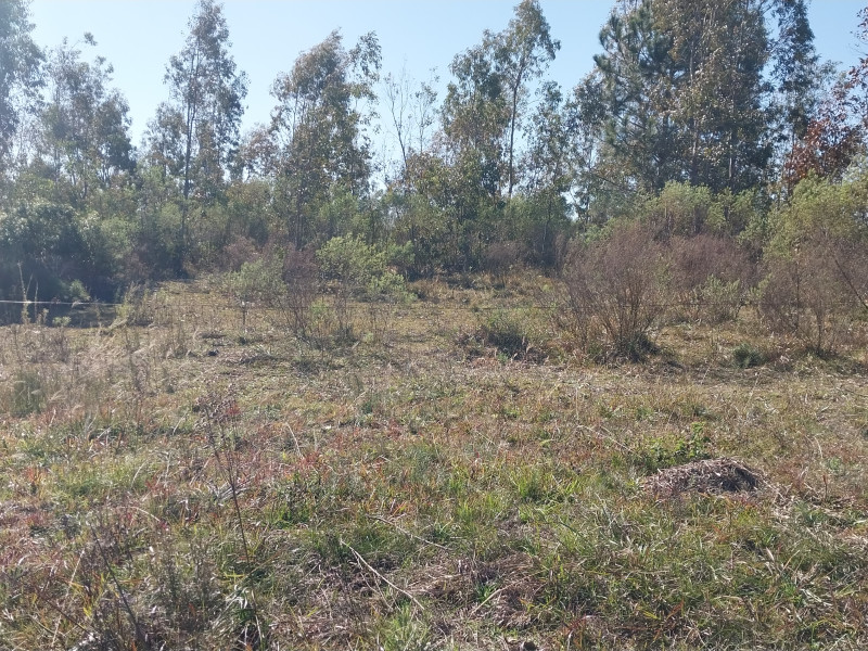 imóvel com 706m² - Centro - Sant'Ana do Livramento