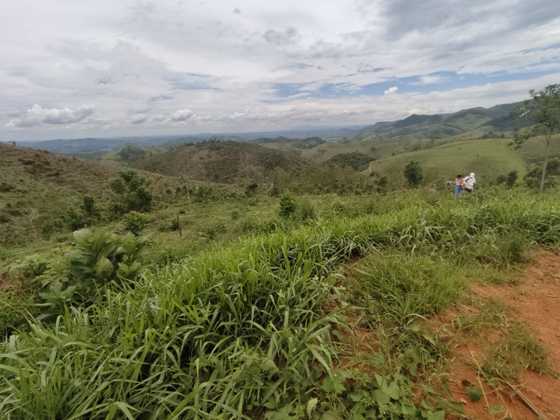 imóvel com 20000m² - Centro - Coronel Pacheco