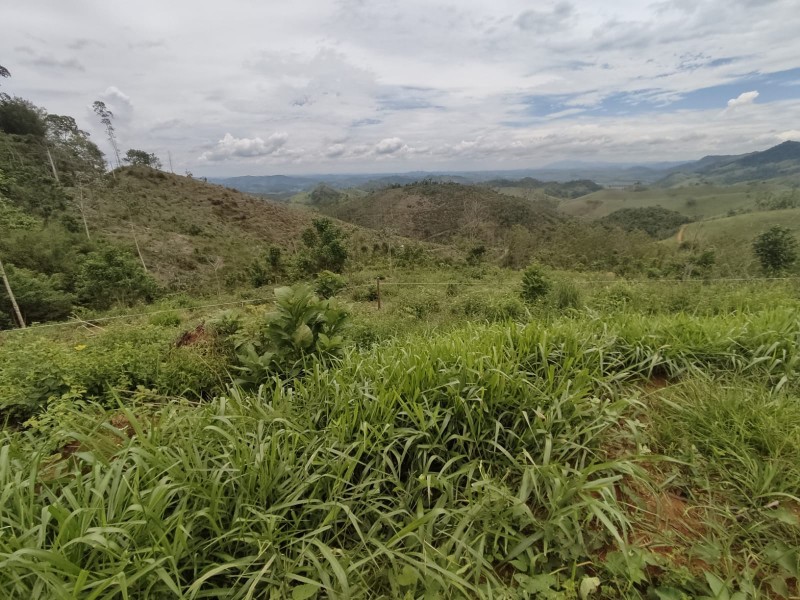 imóvel com 20000m² - Centro - Coronel Pacheco