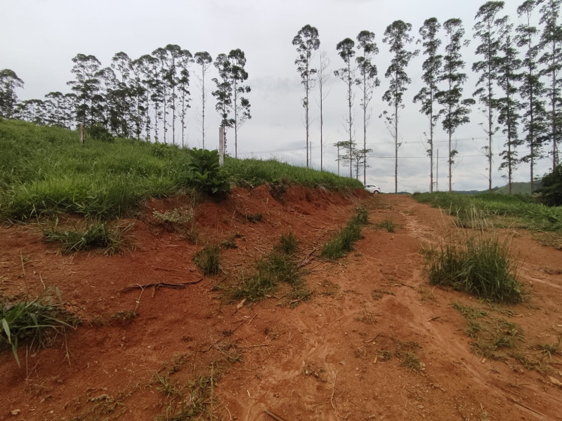 imóvel com 20000m² - Centro - Coronel Pacheco