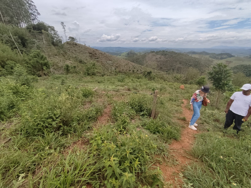 imóvel com 20000m² - Centro - Coronel Pacheco